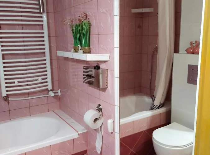 Sielsko-wiejsko シュチトナ